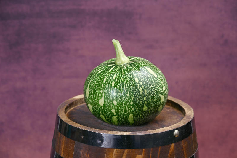 翠绿斑点小南瓜特写图片