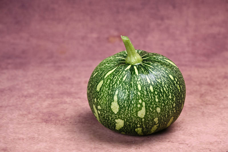 翠绿斑点小南瓜特写图片