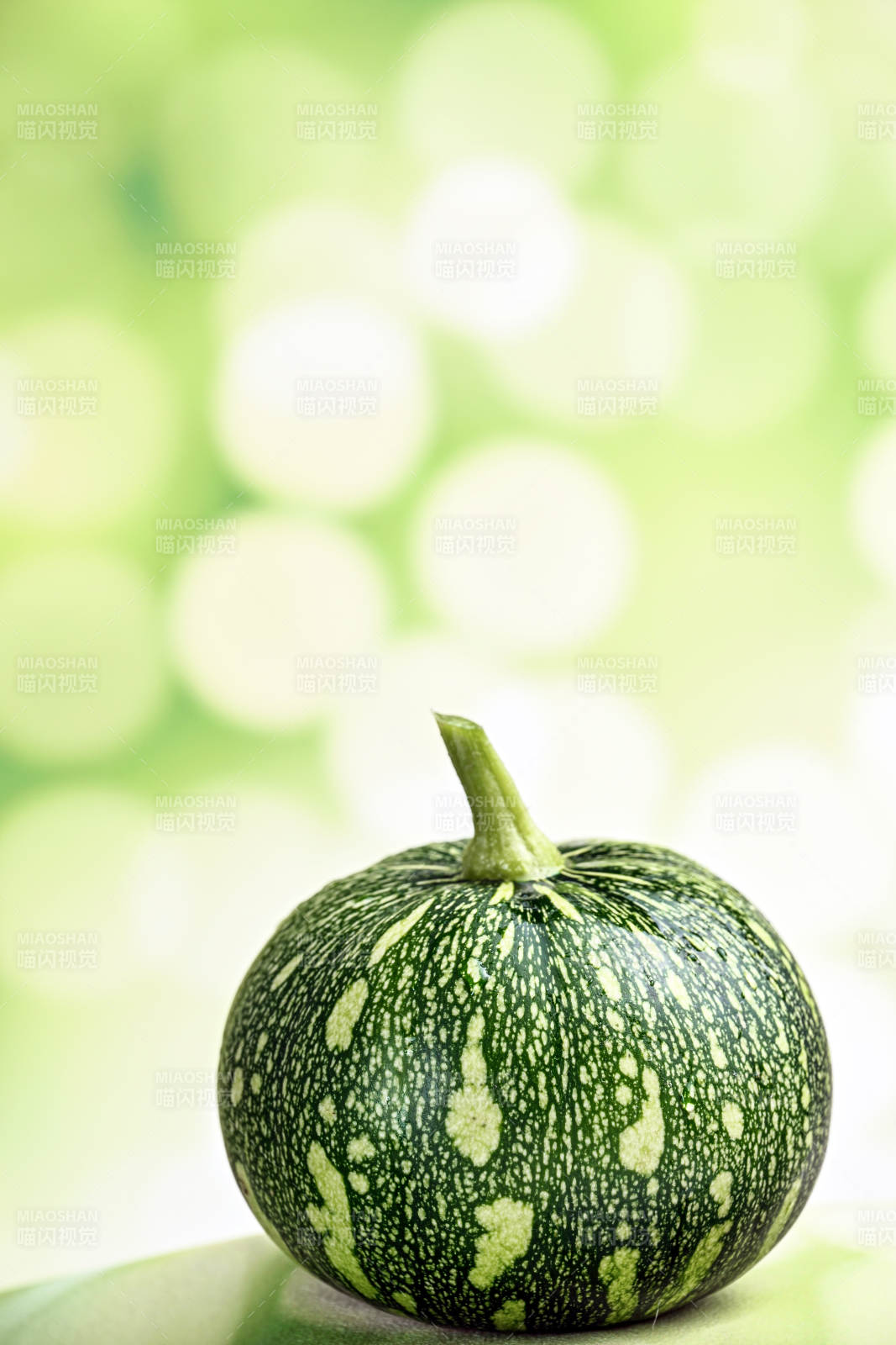 翠绿斑点小南瓜特写图片