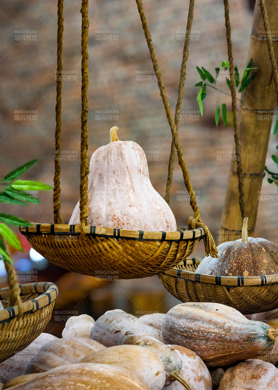 悬挂的南瓜篮图片