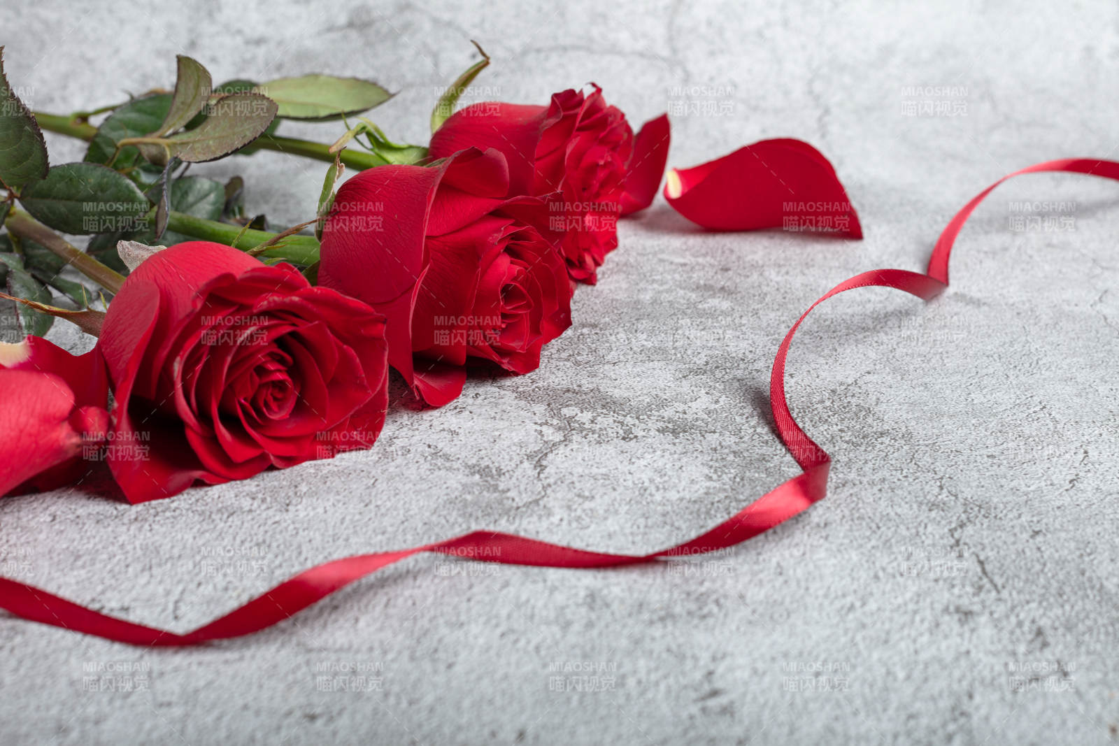 红玫瑰与丝带图片
