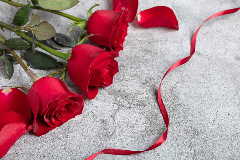 红玫瑰与丝带图片