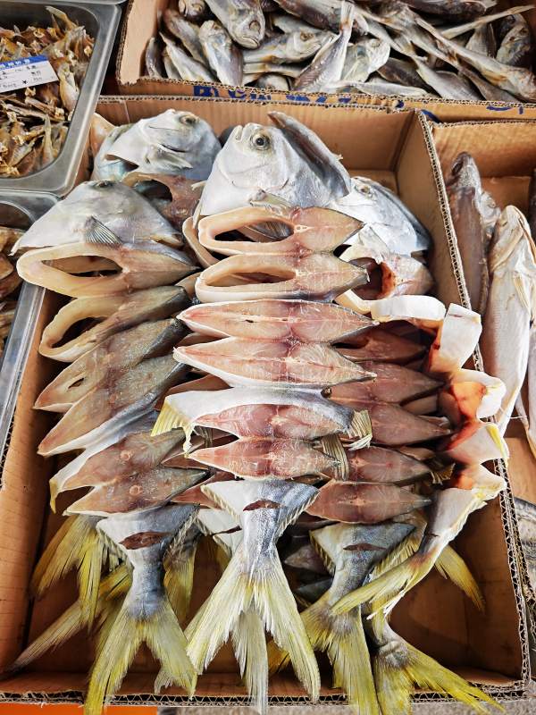 新鲜鱼货陈列图片