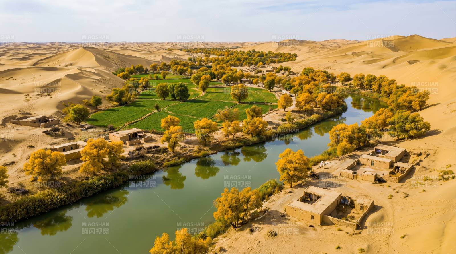 沙漠绿洲奇景图片