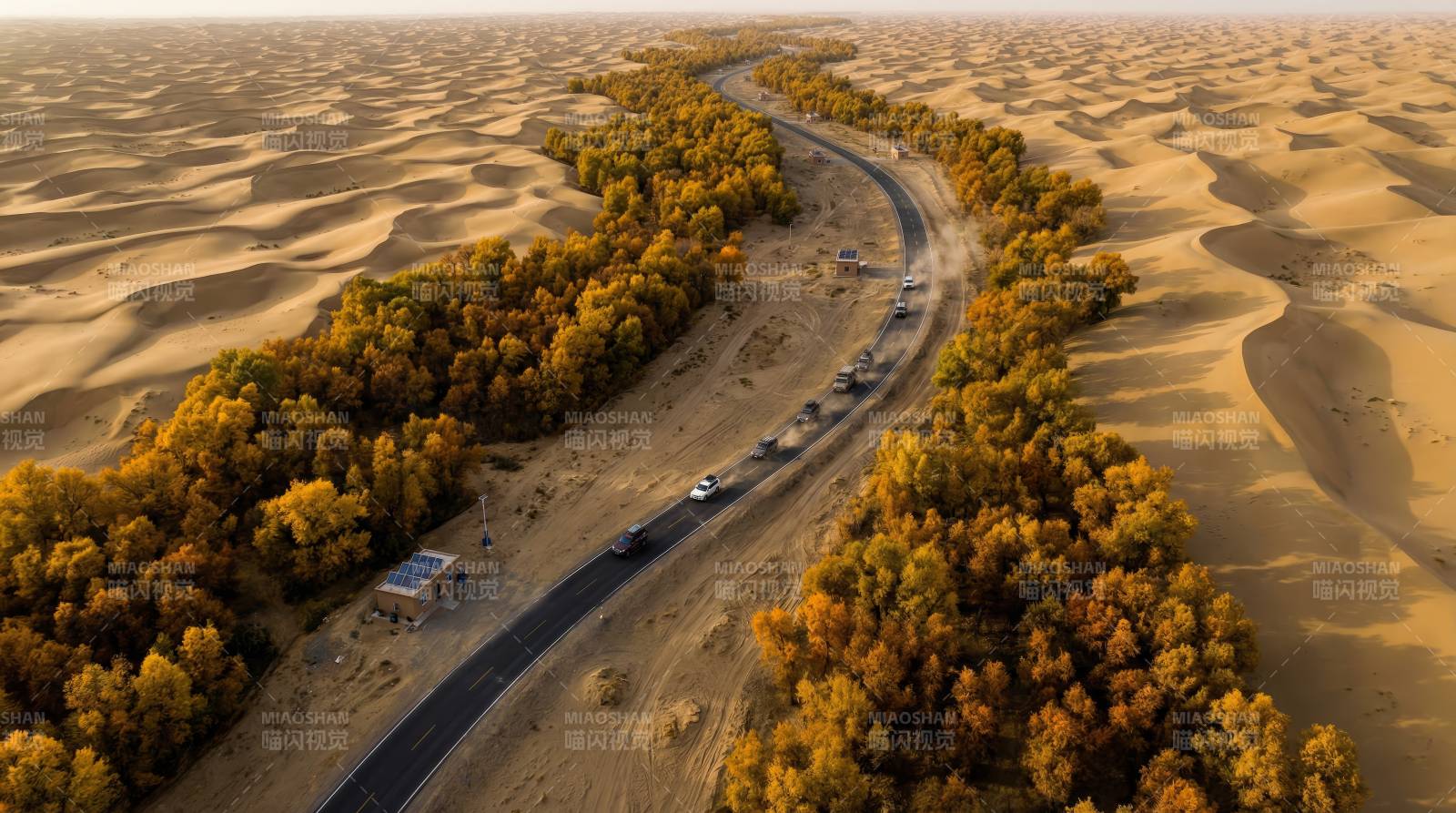 沙漠绿洲公路图片