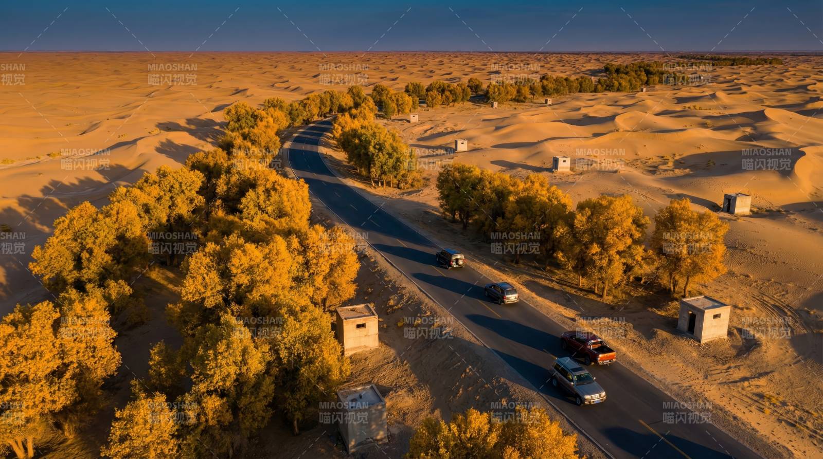沙漠公路秋景图片