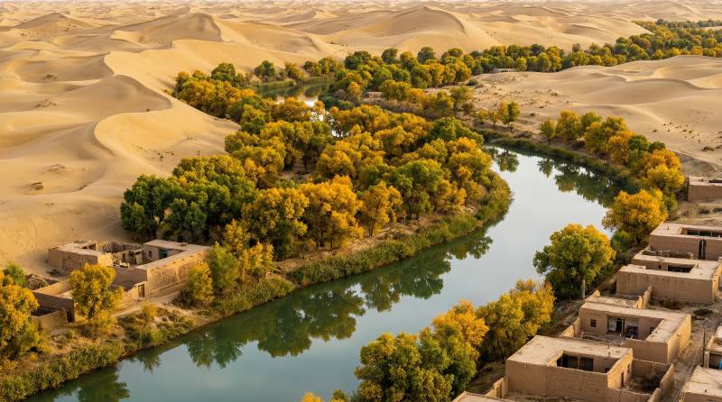 沙漠绿洲映秋色图片