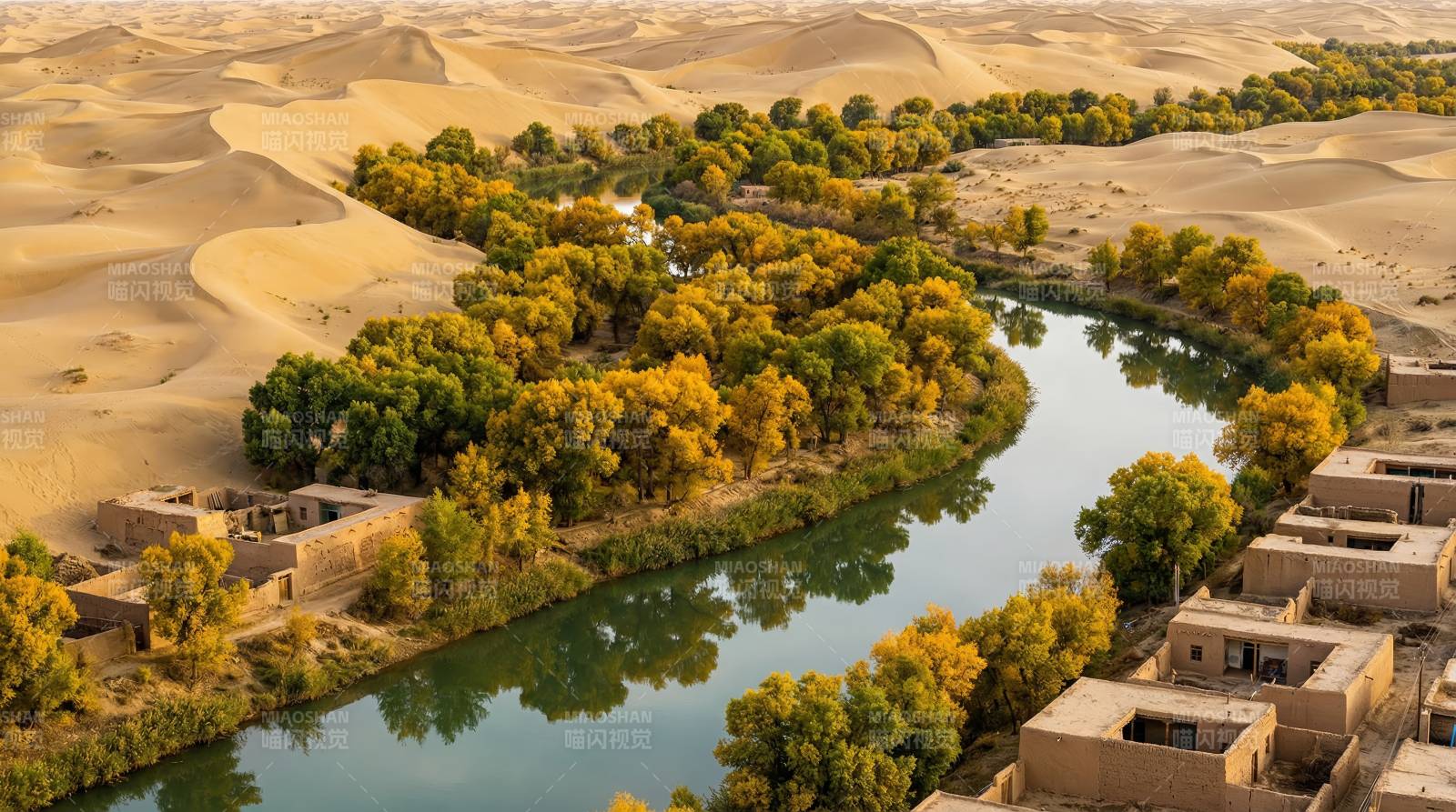 沙漠绿洲映秋色图片