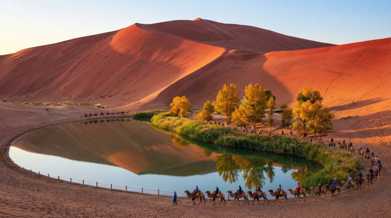 沙漠绿洲驼队行图片