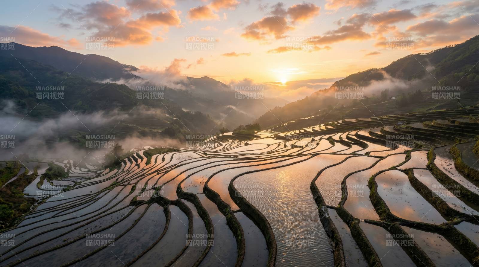 梯田晨曦图片