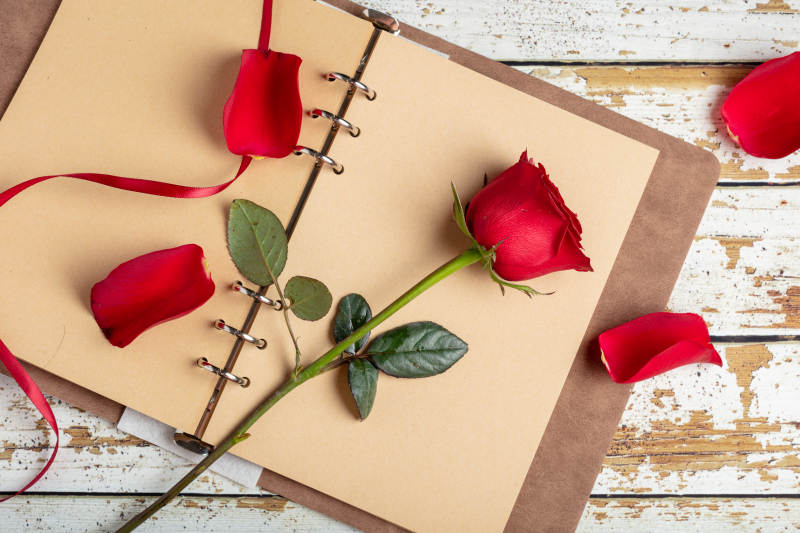 玫瑰与笔记本图片