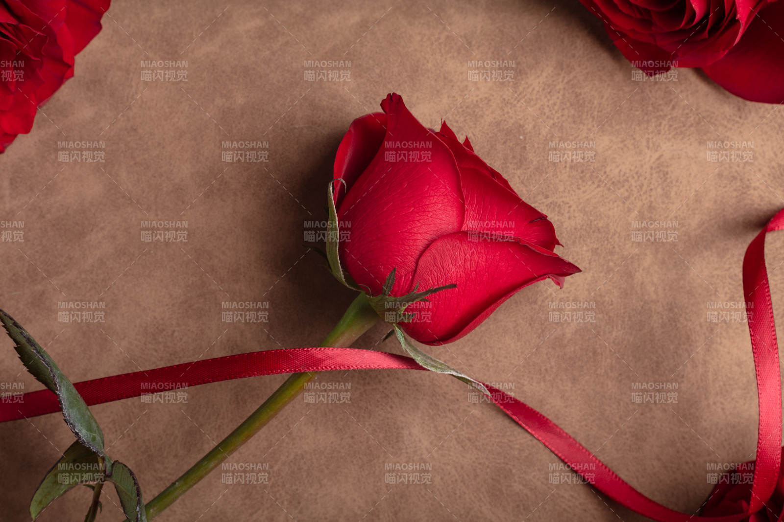 红玫瑰与丝带图片