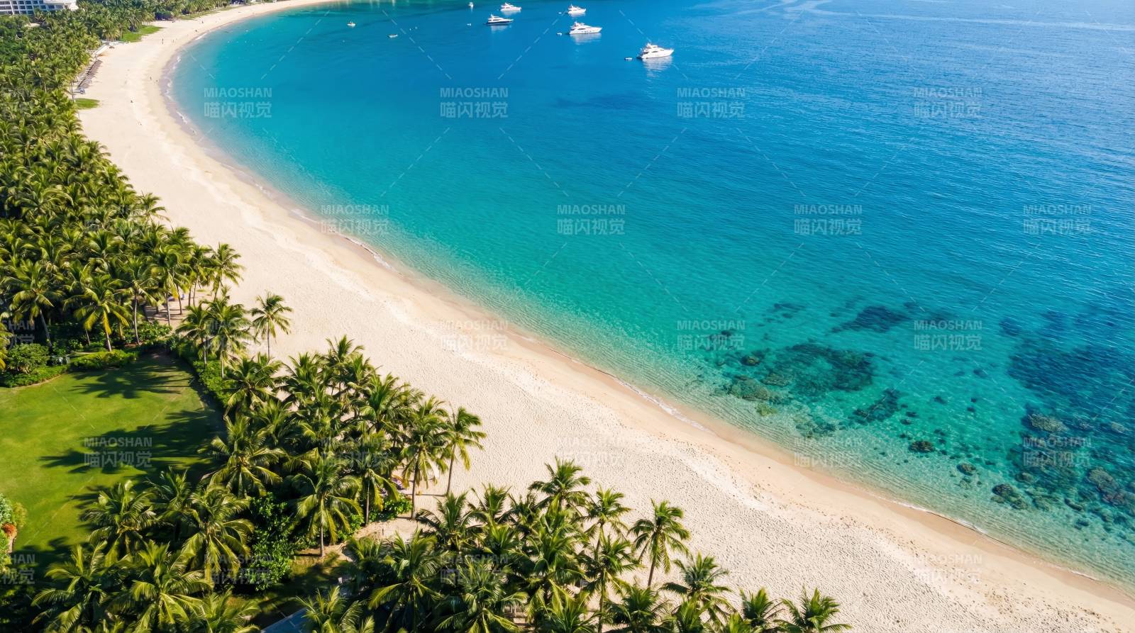 碧海白沙椰林风光图片