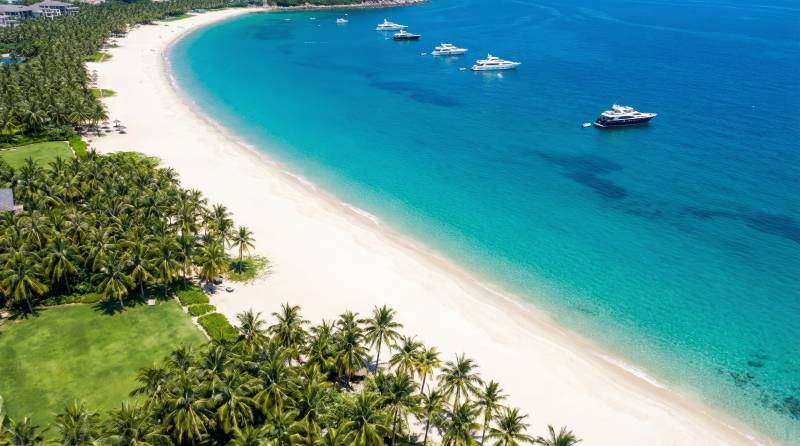 碧海白沙椰林风情图片