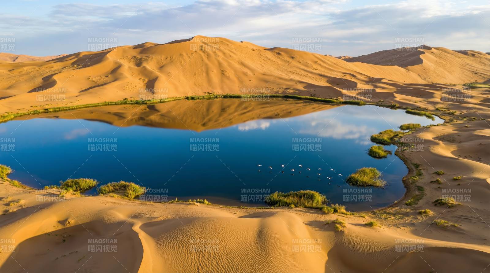 沙漠绿洲镜湖图片