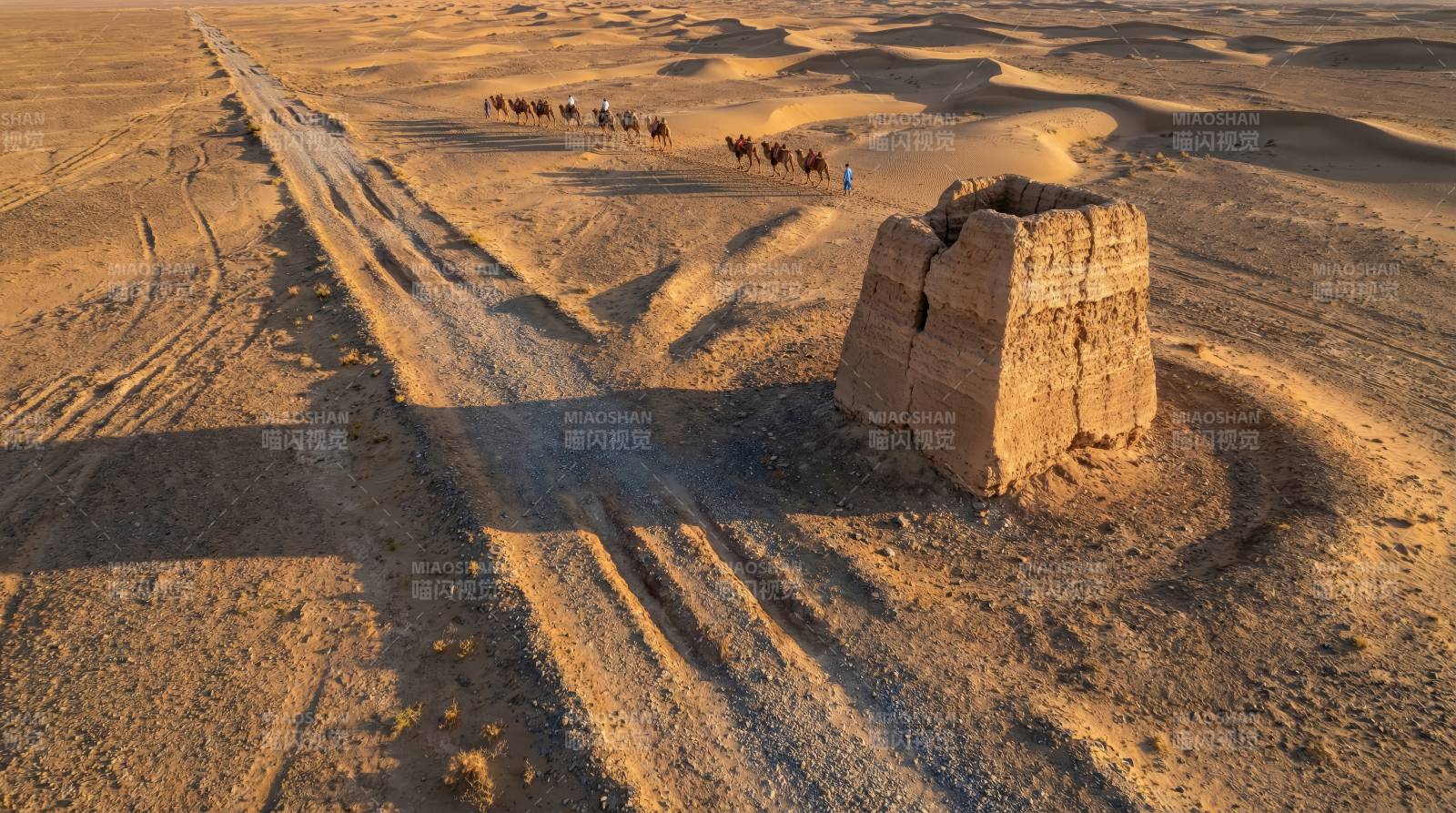 沙漠驼队行迹图片