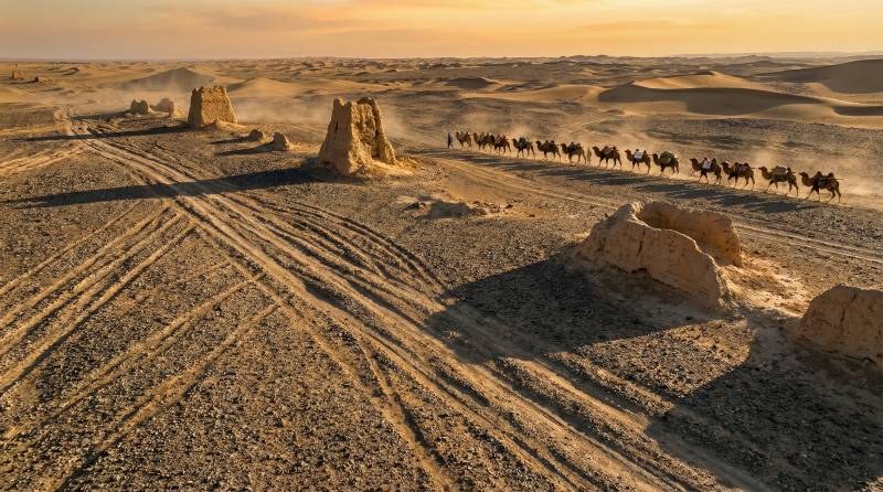 沙漠驼队行迹图片