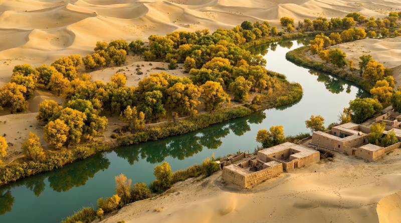 沙漠绿洲秋景图片