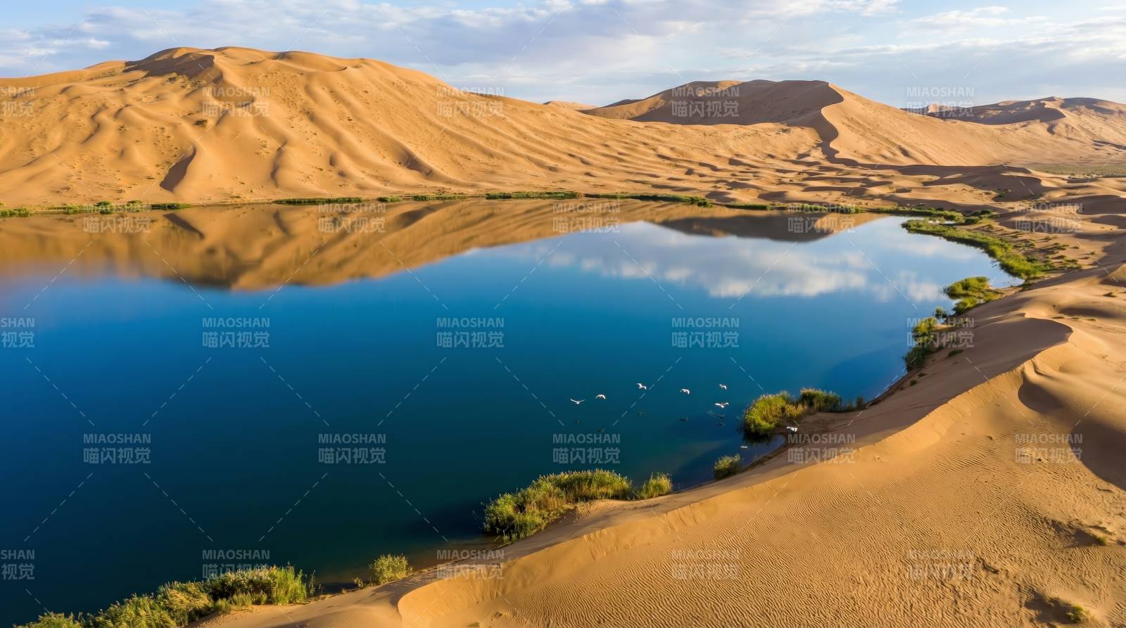 沙漠绿洲镜湖图片