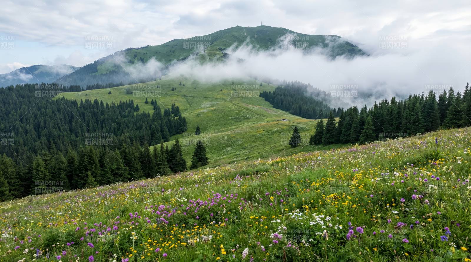 山野花海云雾缭绕图片