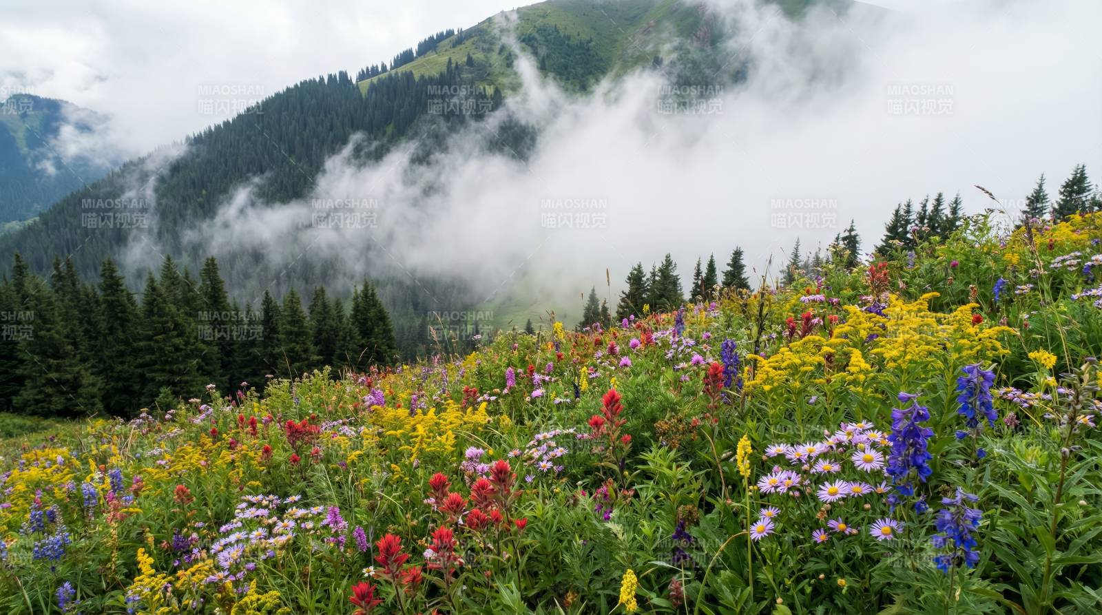 山间花海云雾缭绕图片