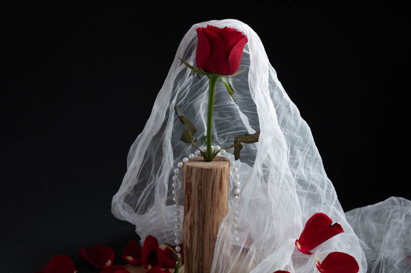 红玫瑰与婚纱图片