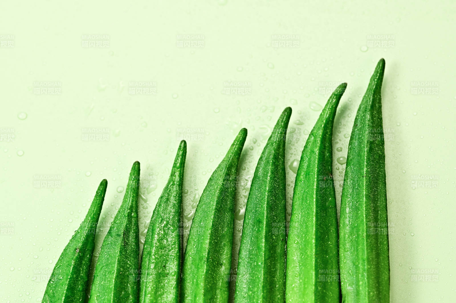 绿色新鲜蔬菜秋葵特写图片