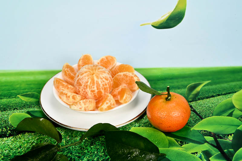 果肉味甜健康食物橙黄色的金桔特写图片