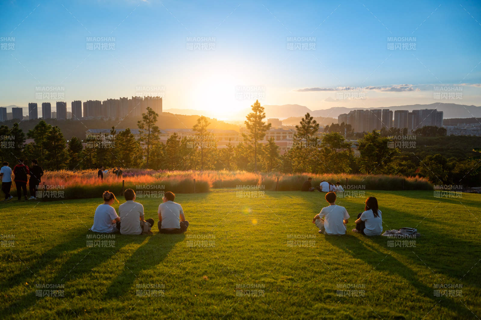 夕阳下的草坪时光图片