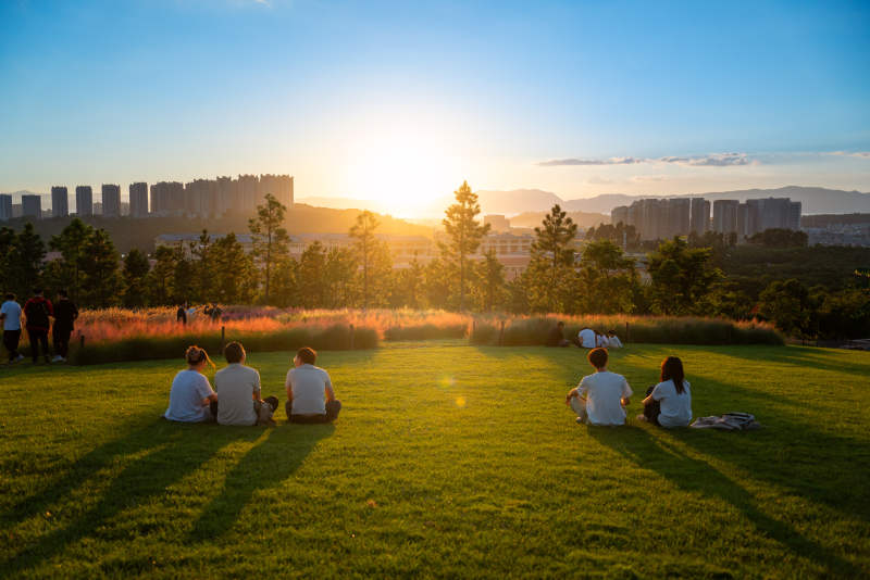 夕阳下的草坪时光图片