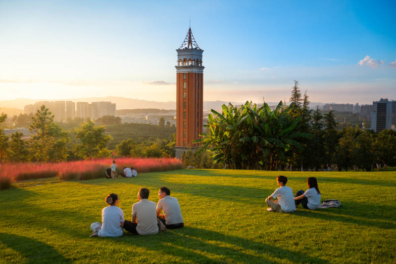 塔影下的草坪时光图片