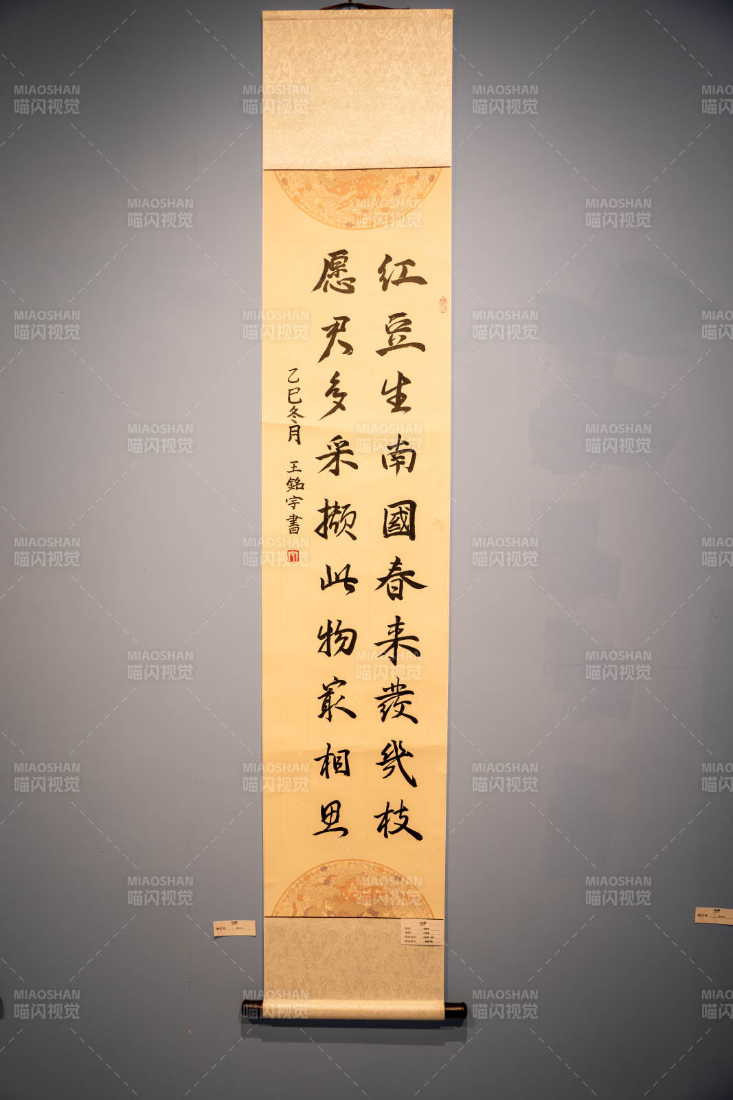 红豆生南国春来发几枝图片