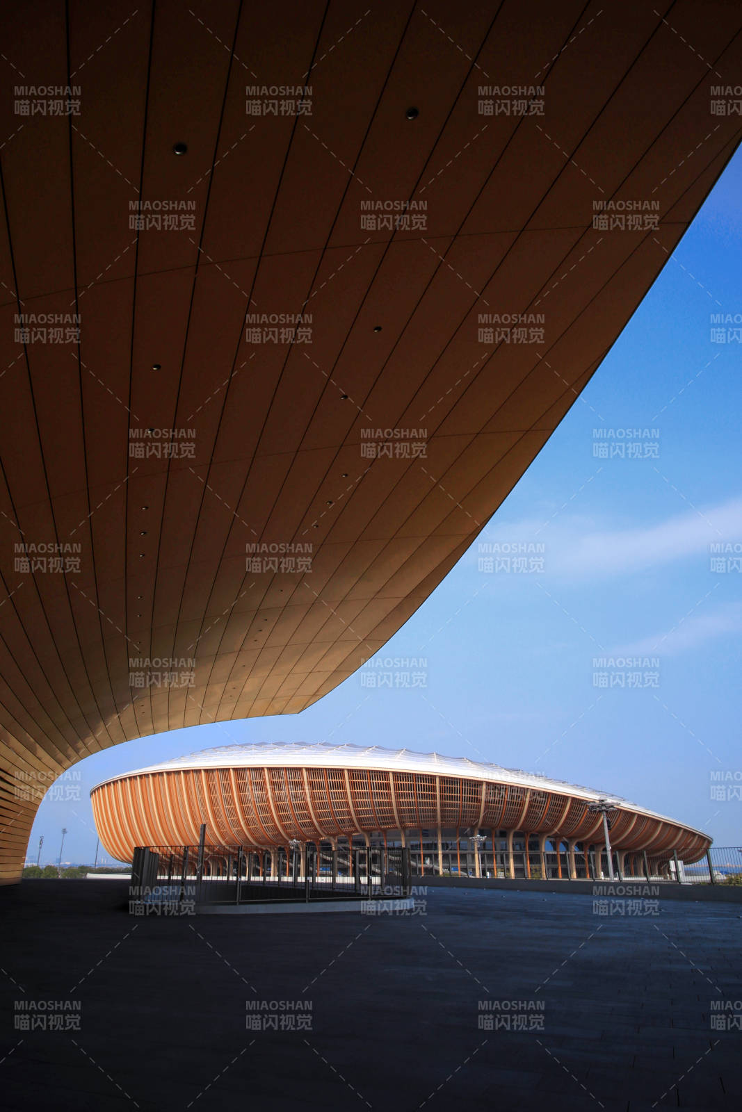 广州大湾区体育中心图片