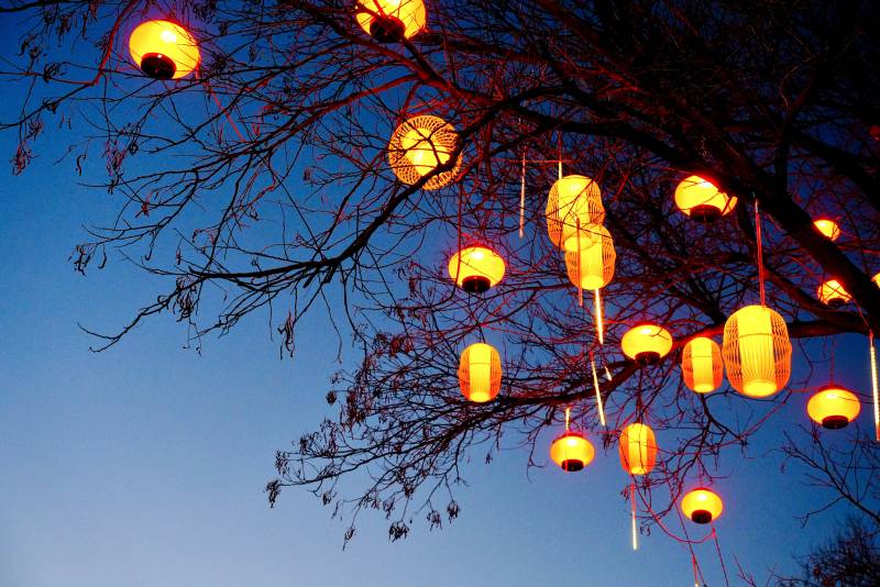 节日树梢的灯笼图片