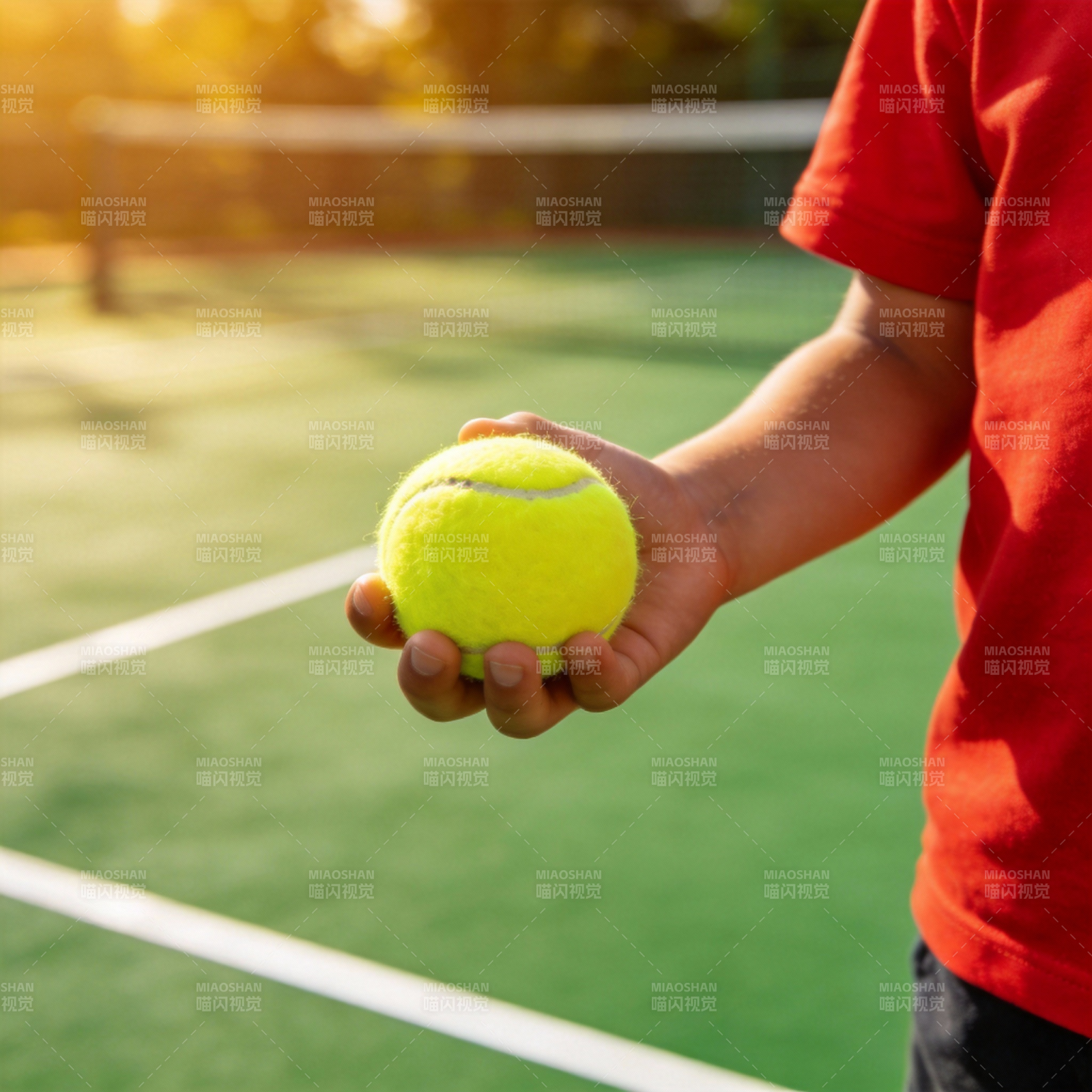 手握网球 球场阳光图片