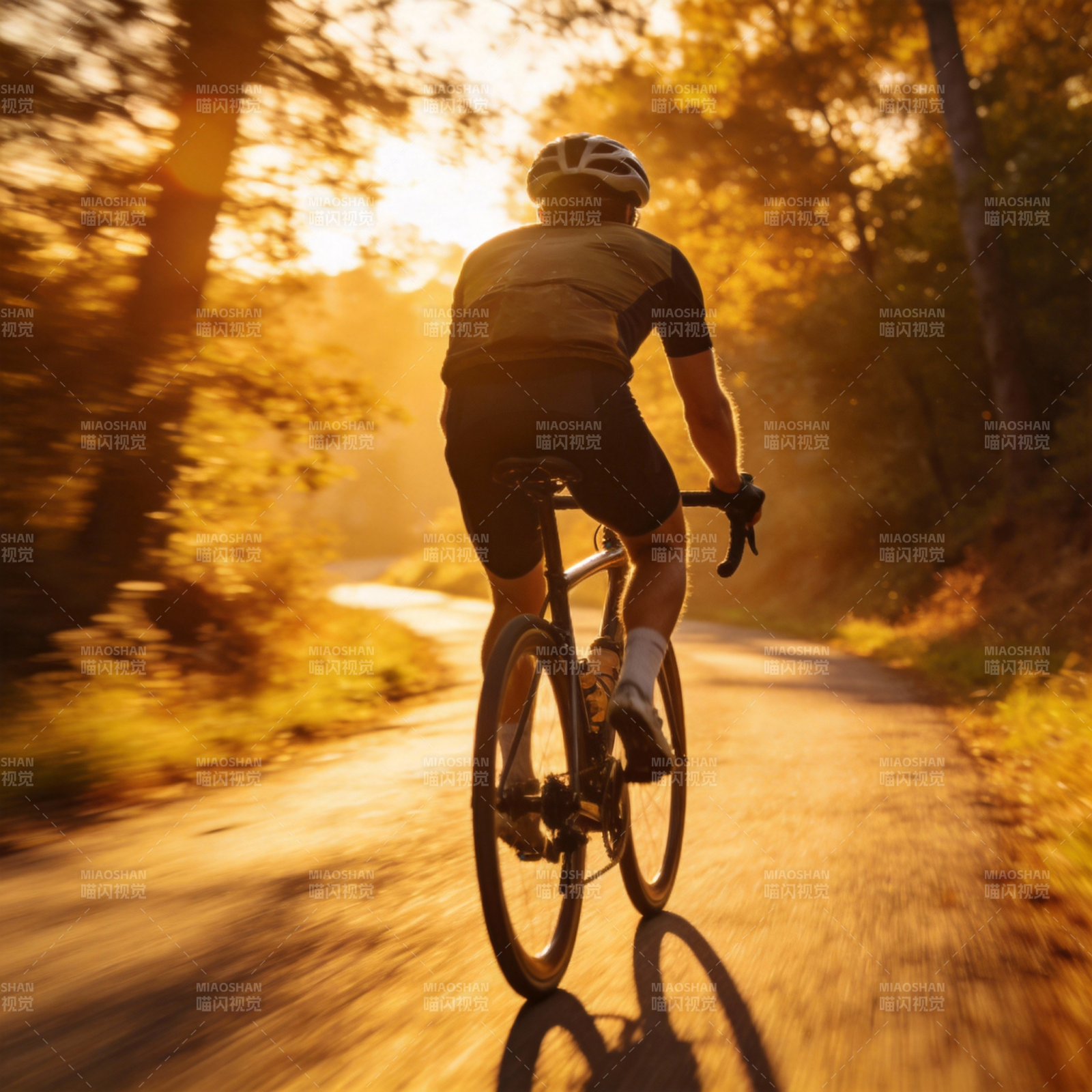 骑行追光图片