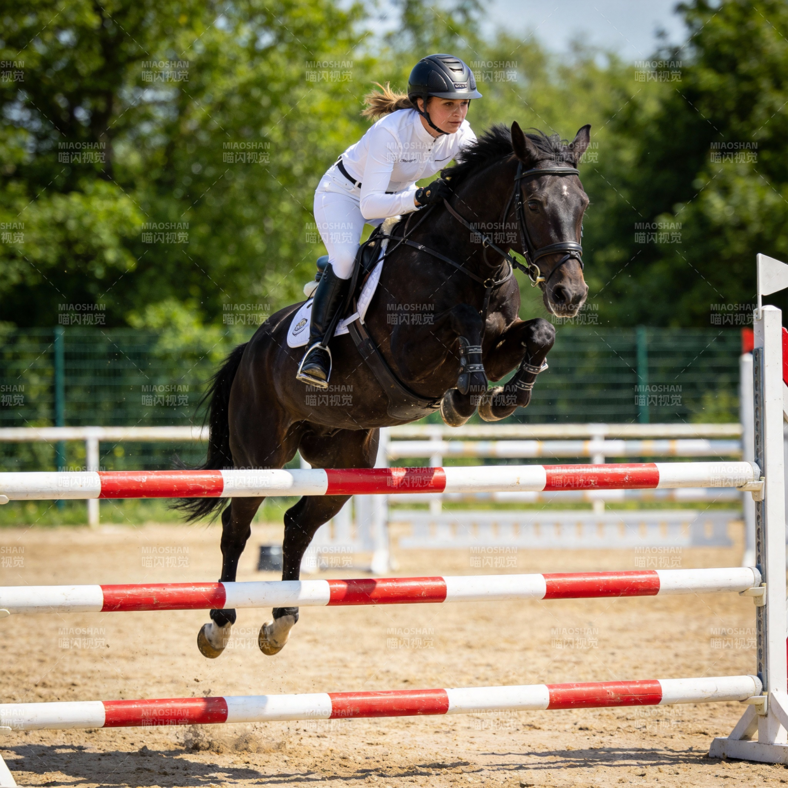 骑手跃马过障图片