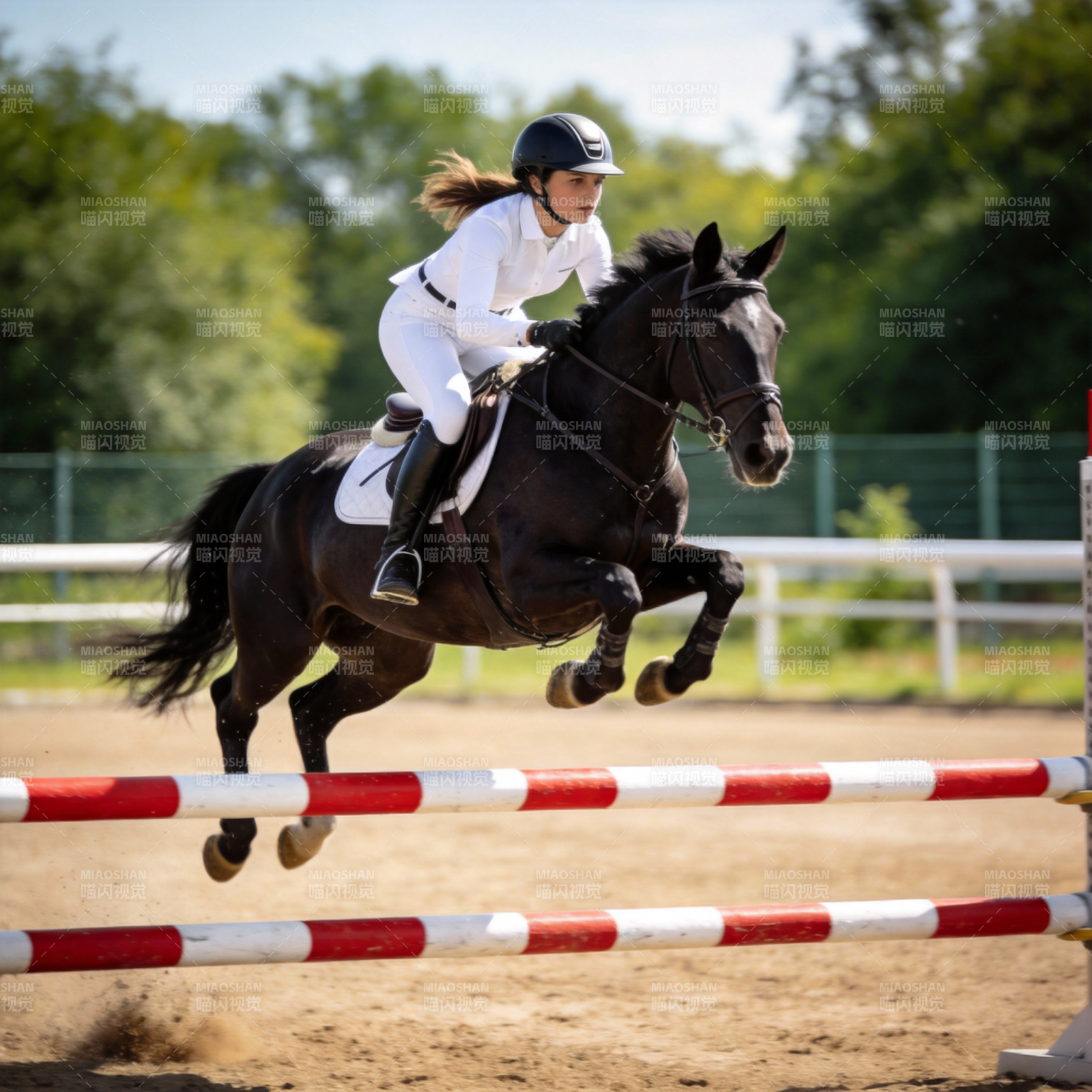 骑手跃马过障图片