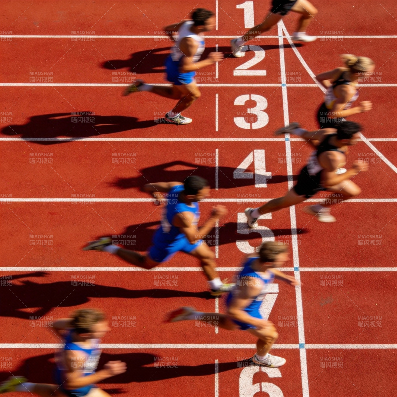 赛道上的速度对决图片