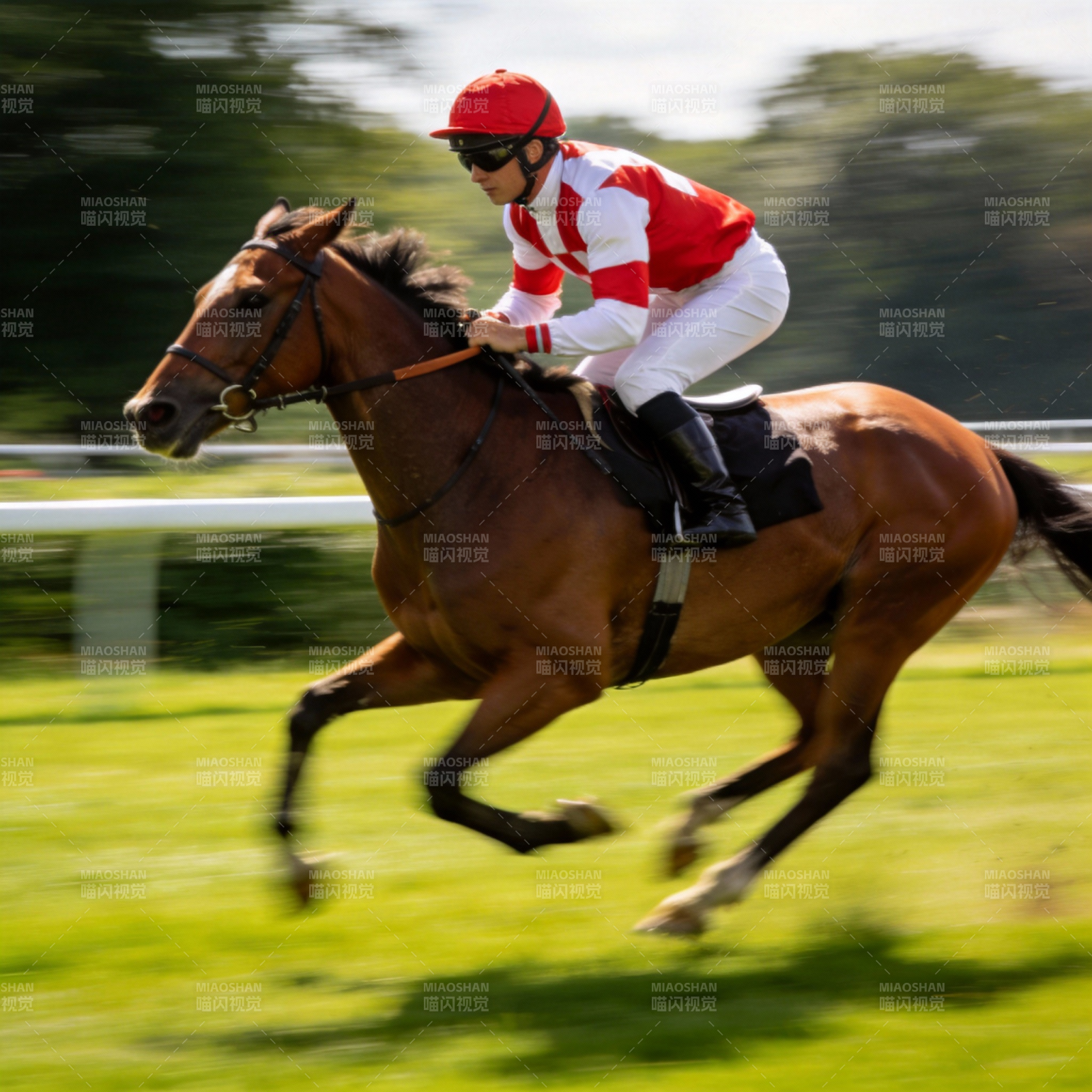 赛马疾驰瞬间图片