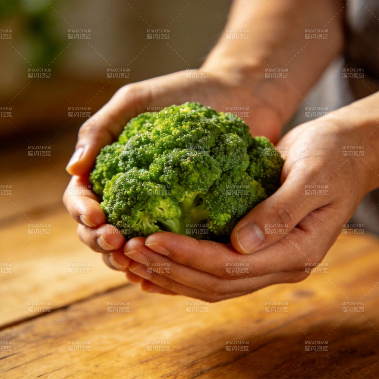 双手捧着新鲜西兰花图片