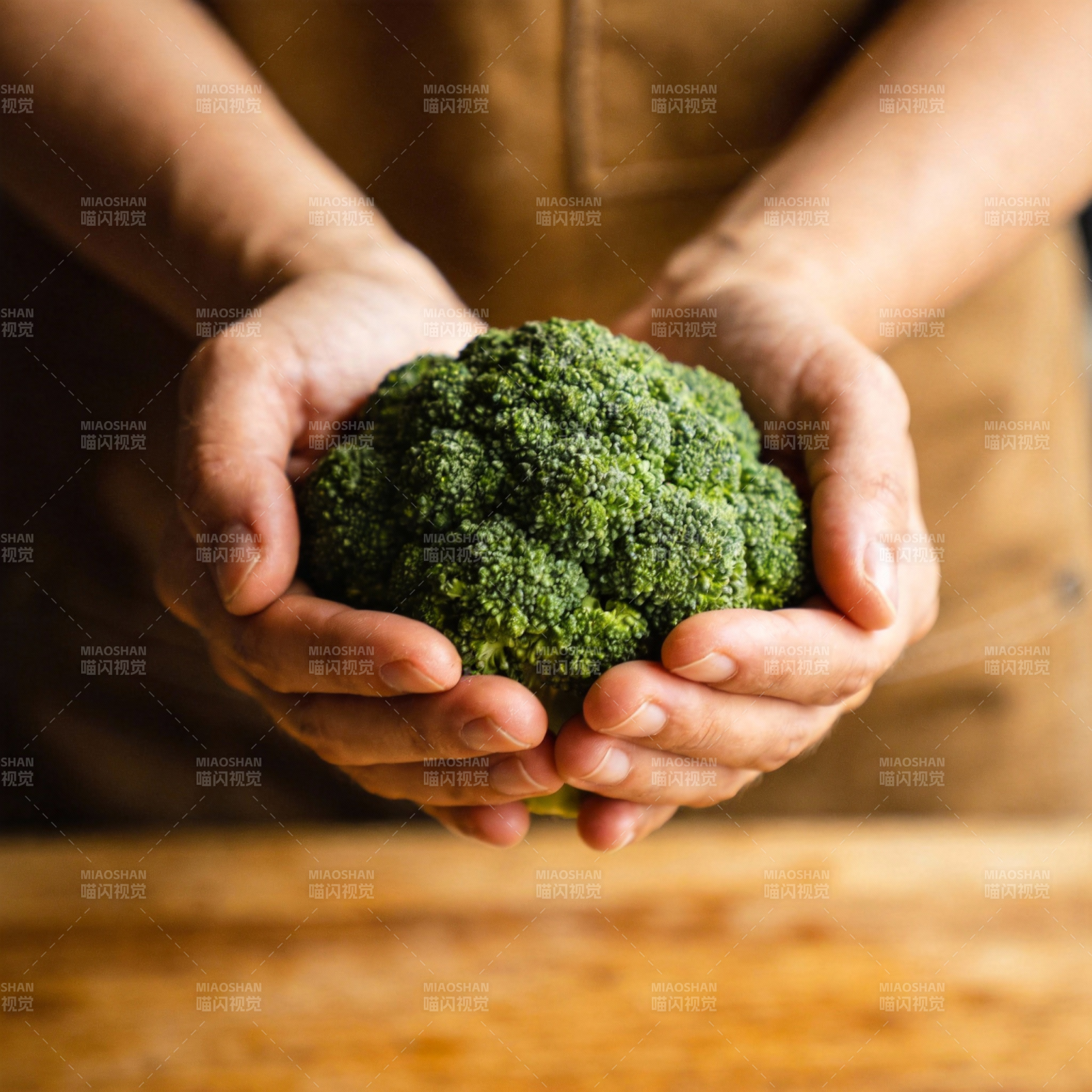 双手捧着新鲜西兰花图片