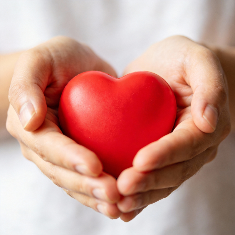 双手捧红心图片