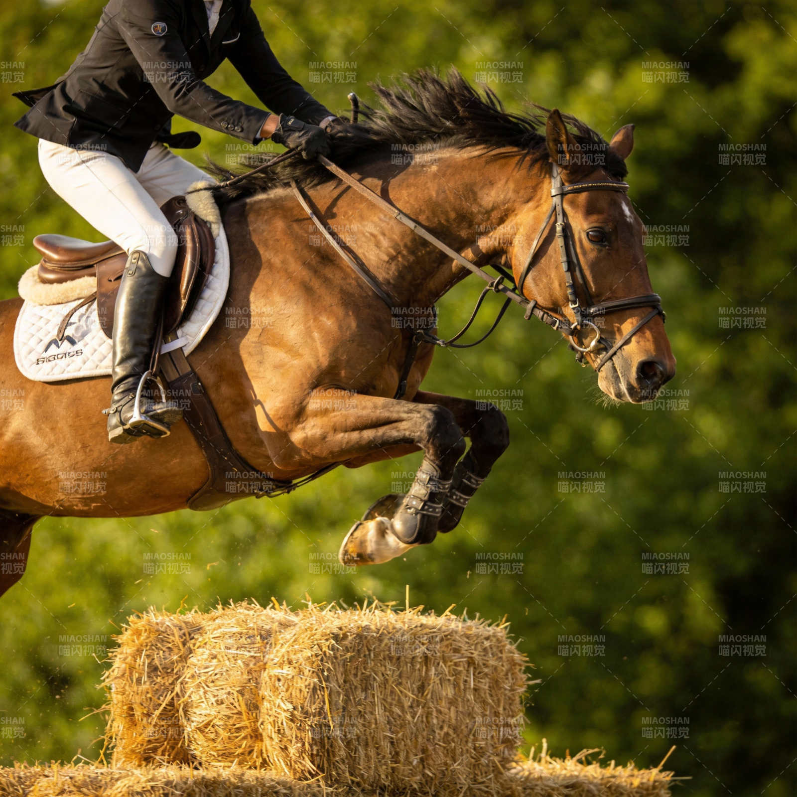 骏马飞跃草垛图片
