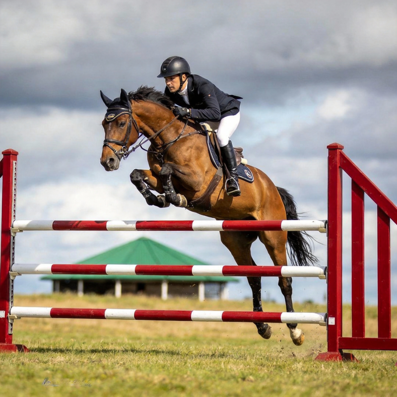 骏马飞跃障碍图片