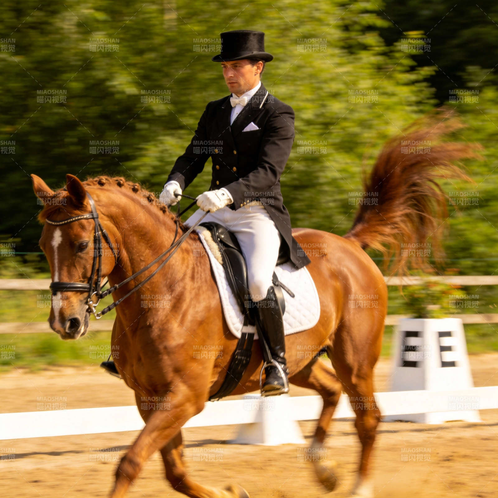 马术表演瞬间图片