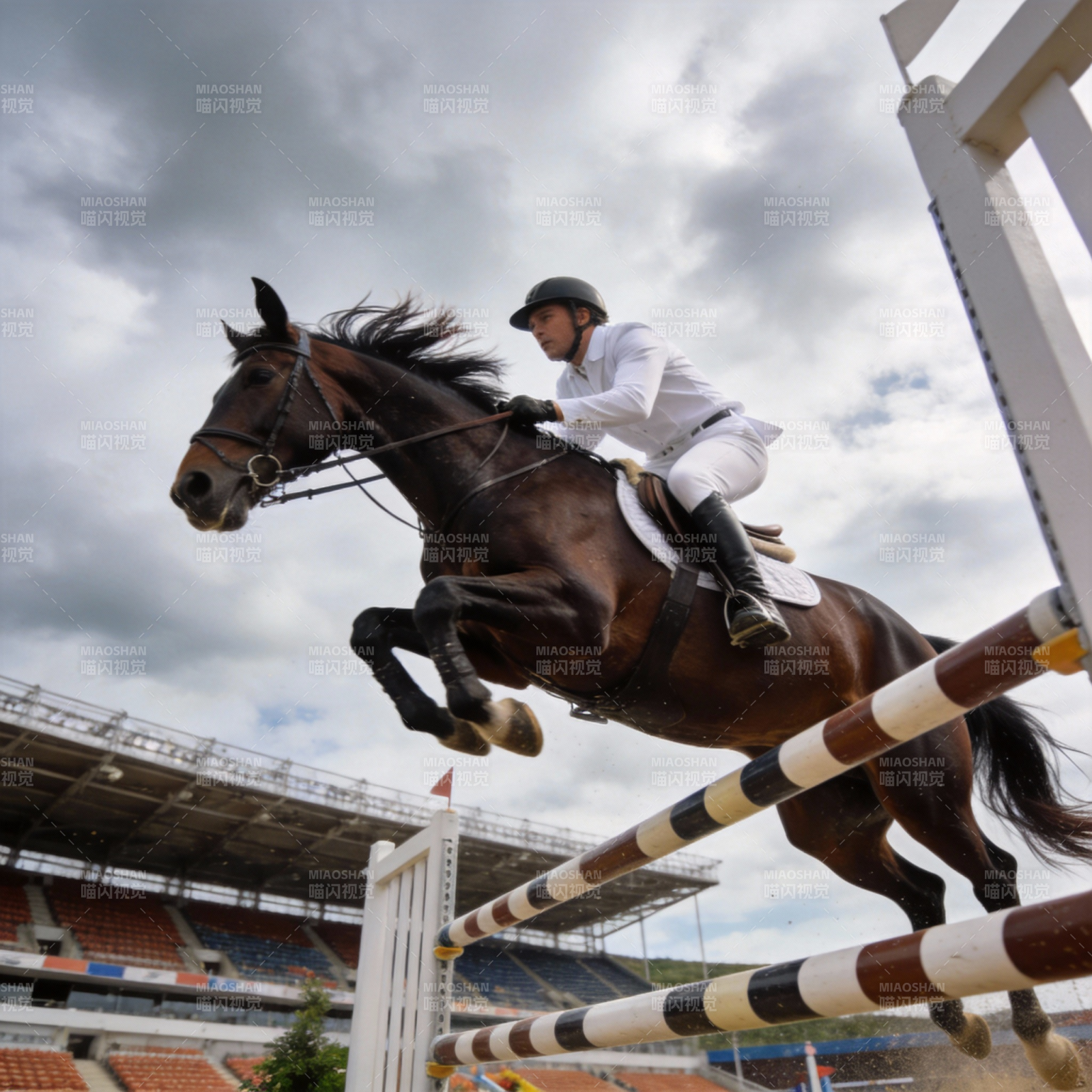 骏马飞跃障碍图片