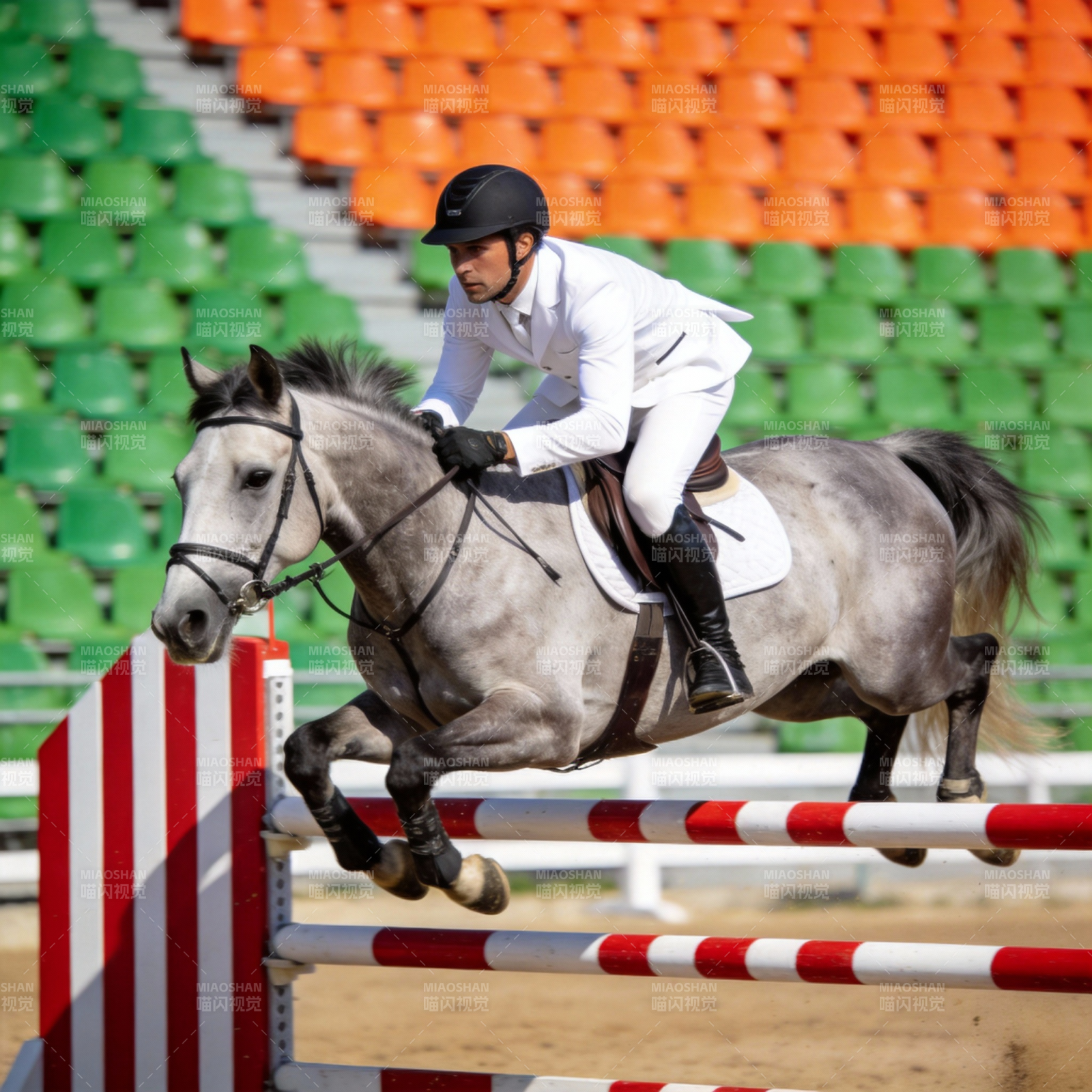 骑手跃马跨栏图片