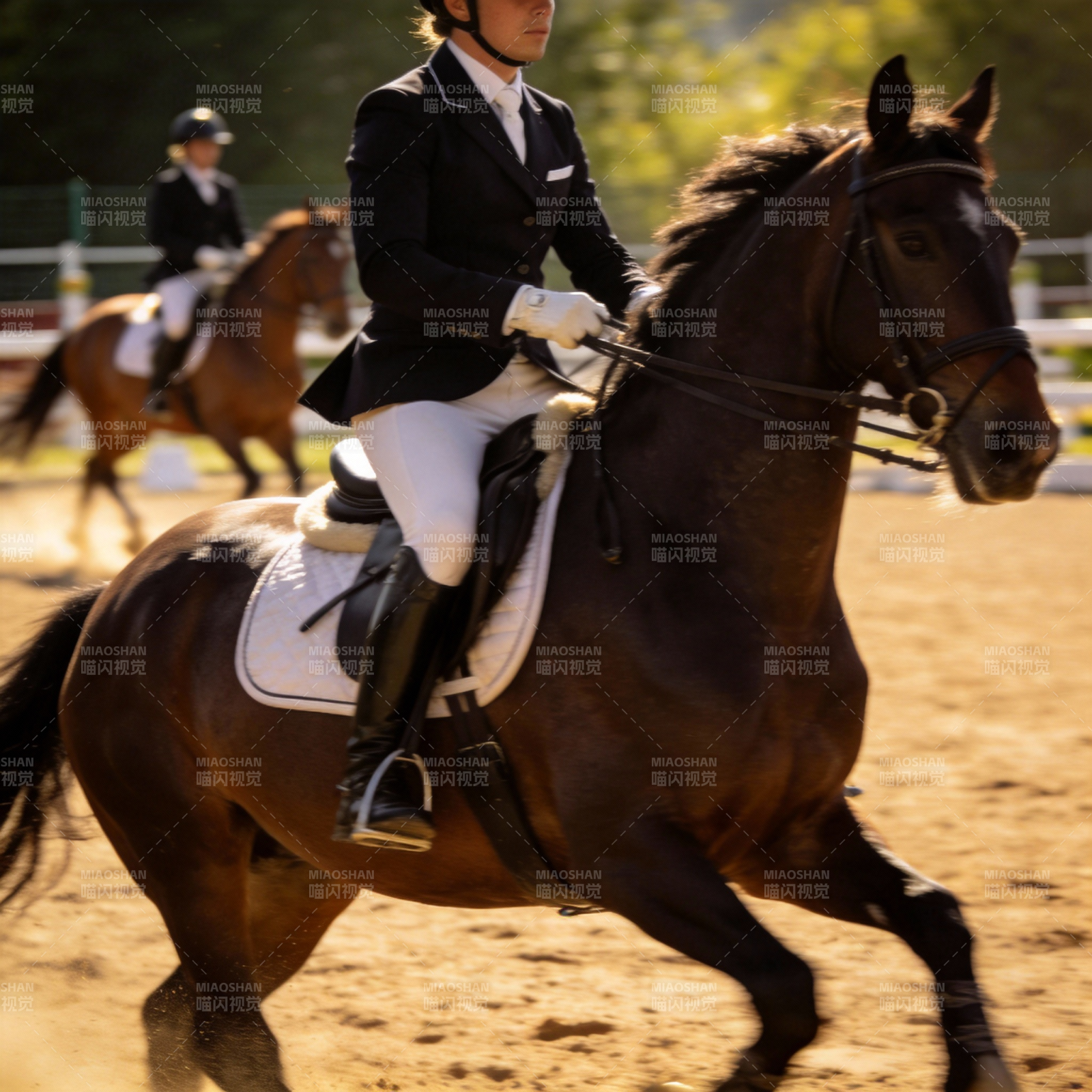 马术优雅瞬间图片