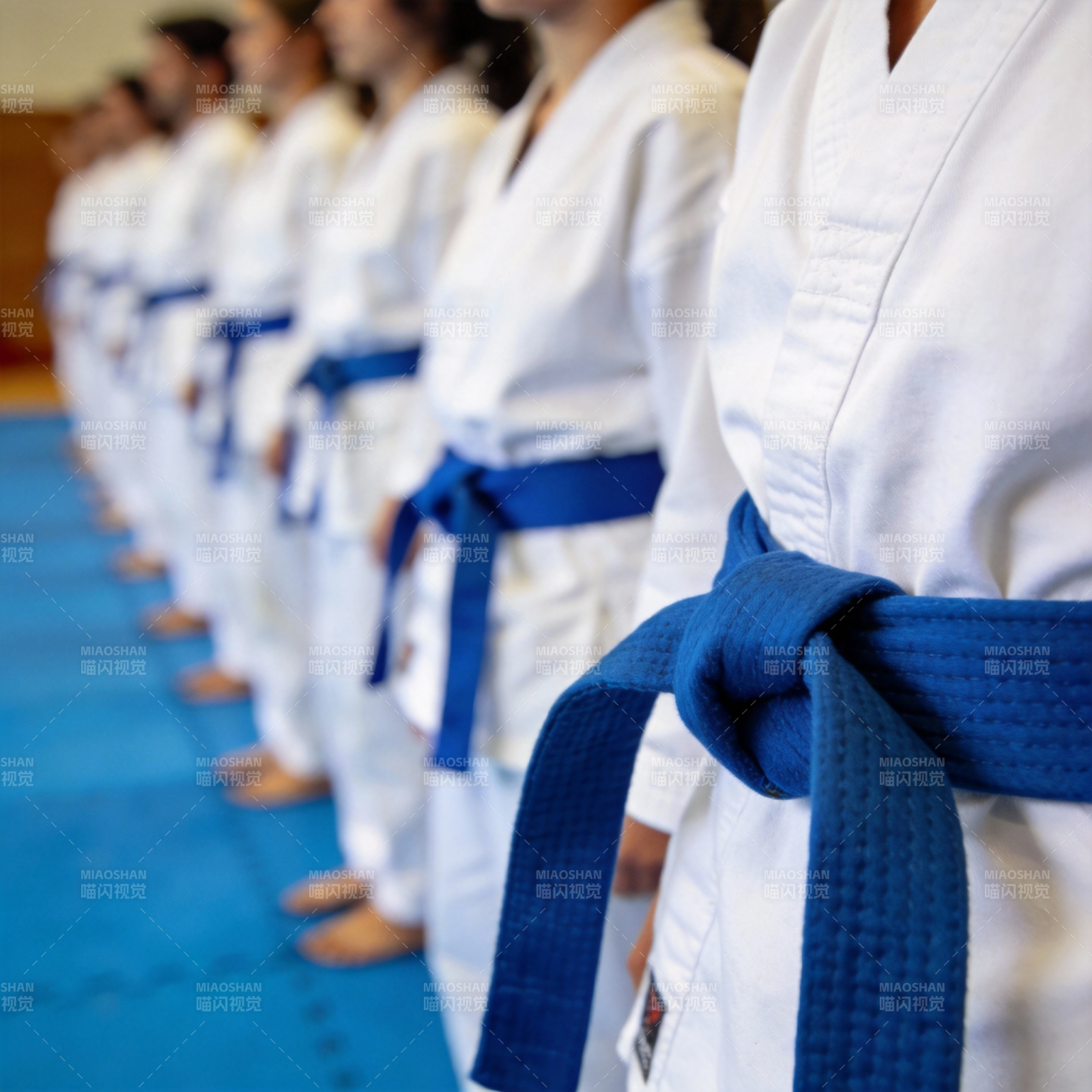 蓝带武者列队图片